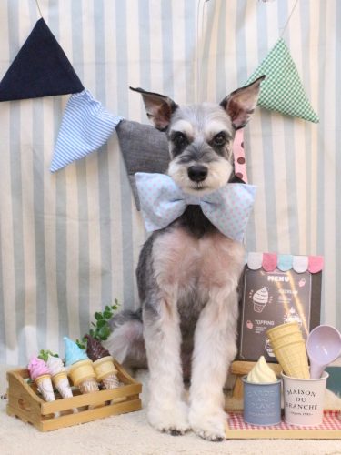 20250531銀次くん